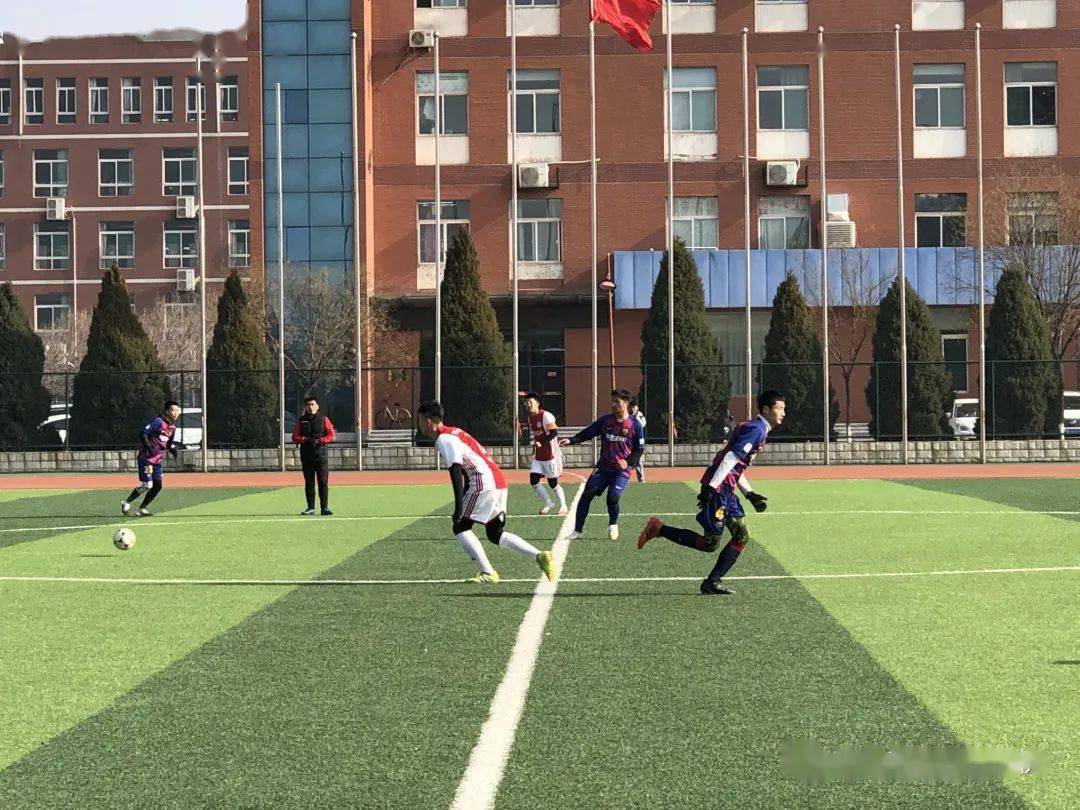 澳大利亚队战术精湛,驰骋赛场引人注目 澳大利亚队战术精湛,驰骋赛场引人注目