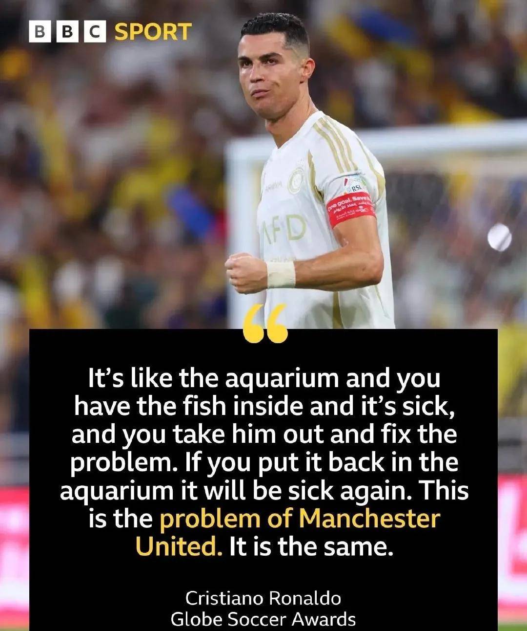 联赛全胜,豪取胜仗展现实力 联赛全胜,豪取胜仗展现实力